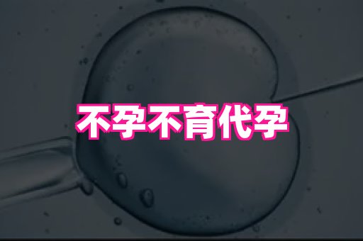 香港助孕网 2
