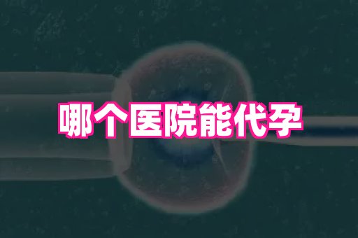 香港助孕网 3