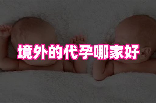 香港助孕网 4